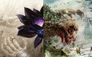 Nejlepší karta v Guilds of Ravnica Foto