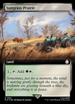 Sungrass Prairie (extended art)