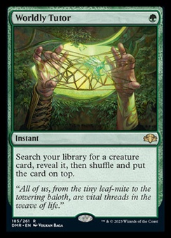 Worldly Tutor