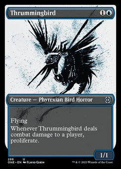 Thrummingbird (showcase)