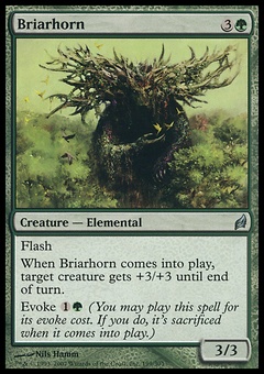 Briarhorn