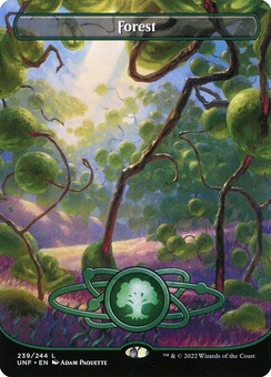 Forest #239 (borderless)