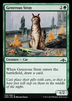 Generous Stray