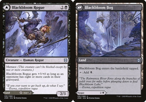 Blackbloom Rogue // Blackbloom Bog