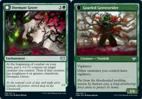 Dormant Grove