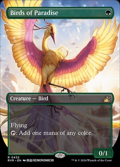 Birds of Paradise (borderless)