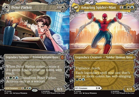 Peter Parker // Amazing Spider-Man (borderless showcase)