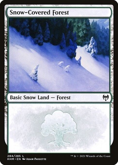 Snow-Covered Forest (#284)