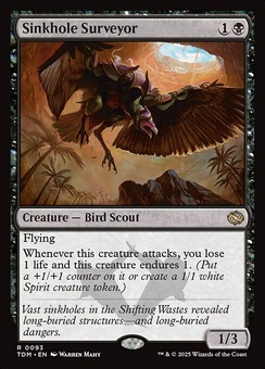 Sinkhole Surveyor (foil)