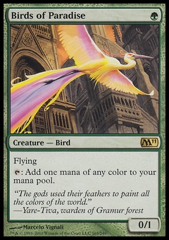 Birds of Paradise
