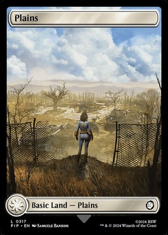 Plains #317