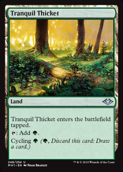Tranquil Thicket (foil)