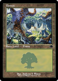 Forest #411 (timeshifted)