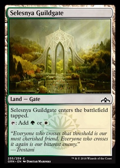Selesnya Guildgate (#255)