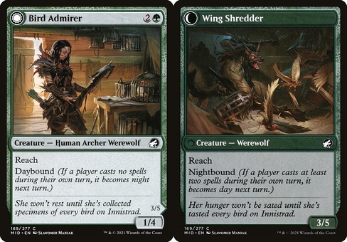 Bird Admirer // Wing Shredder