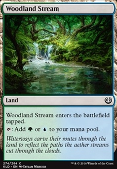 Woodland Stream