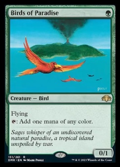 Birds of Paradise