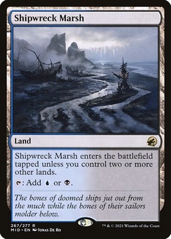 Shipwreck Marsh (foil)