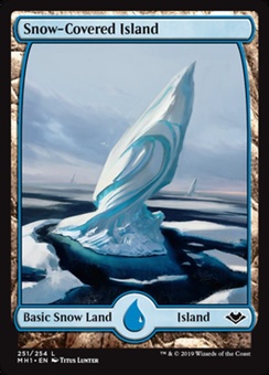 Snow-Covered Island (fullart)