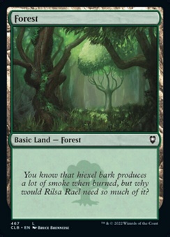 Forest #467