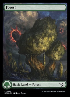 Forest #291 (fullart)