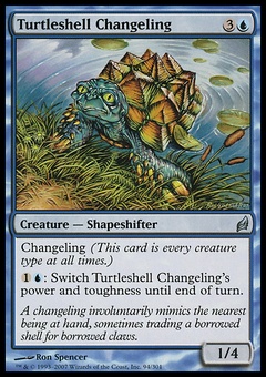 Turtleshell Changeling