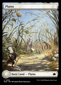 Plains #262