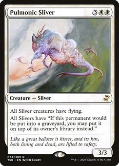 Pulmonic Sliver
