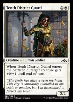 Tenth District Guard