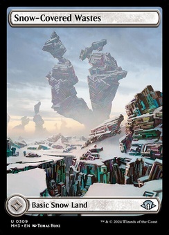 Snow-Covered Wastes (fullart)