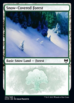 Snow-Covered Forest (#284, EX)