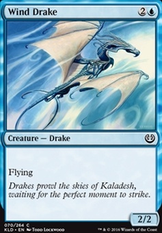 Wind Drake