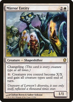Mirror Entity (C13)