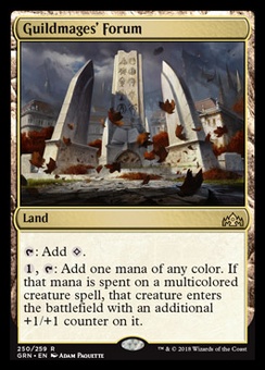 Guildmages' Forum (foil)