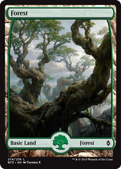 Forest (#274, full-art)