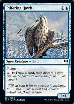 Pilfering Hawk
