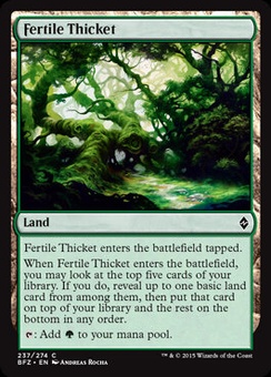 Fertile Thicket