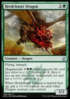 Herdchaser Dragon