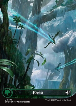 Forest (borderless)