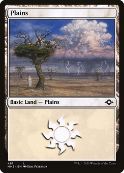Plains #481