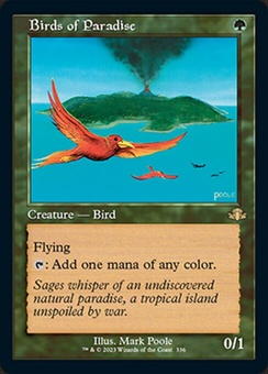 Birds of Paradise (timeshifted)
