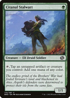 Citanul Stalwart (foil)