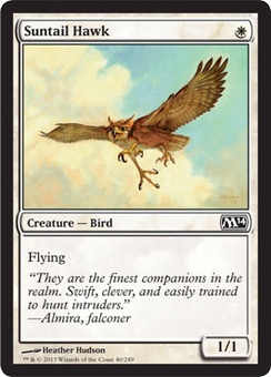 Suntail Hawk (EX)