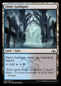 Dimir Guildgate (#245)