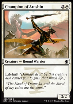 Champion of Arashin