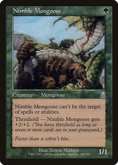 Nimble Mongoose (ODY PL)
