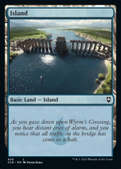 Island #456