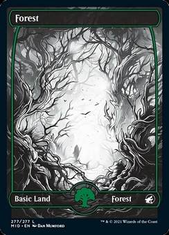 Forest #277 (fullart - foil)