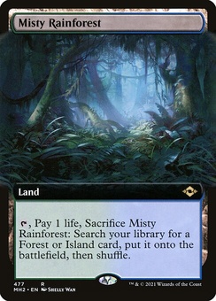 Misty Rainforest (extended art)