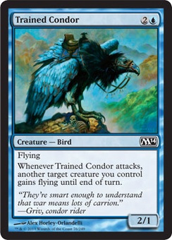 Trained Condor (EX)